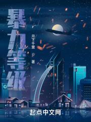 暴力等级分为几级