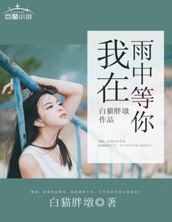 我在雨中等你讲的是什么