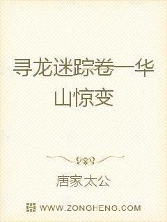 寻龙谜墓