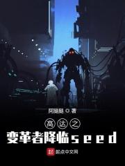 高达之我是变革者